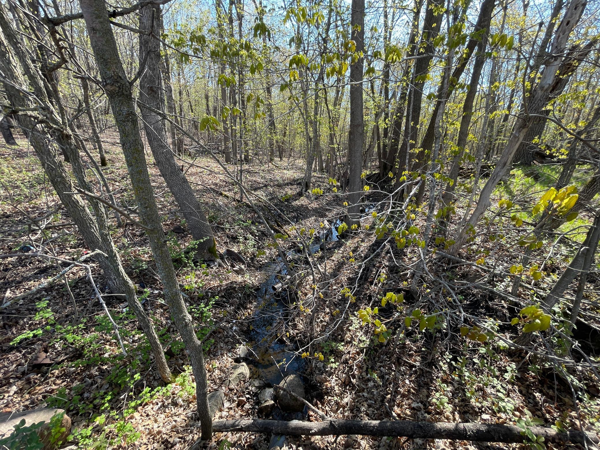 Tbd Csah 39 Property Photo 35