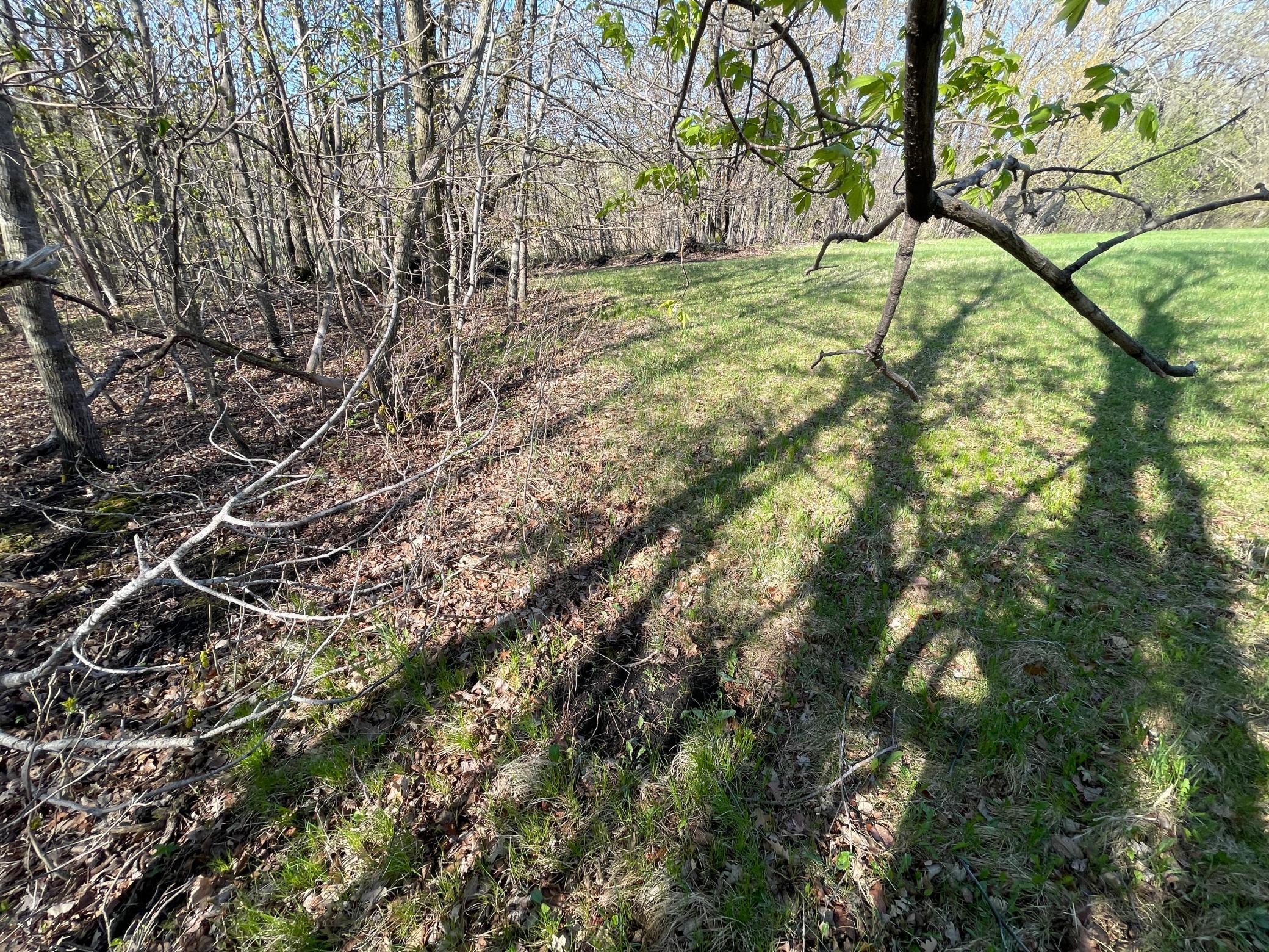Tbd Csah 39 Property Photo 38