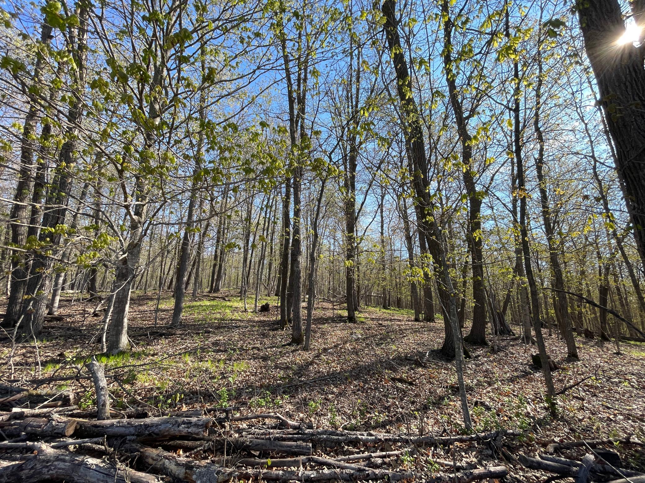 Tbd Csah 39 Property Photo 40