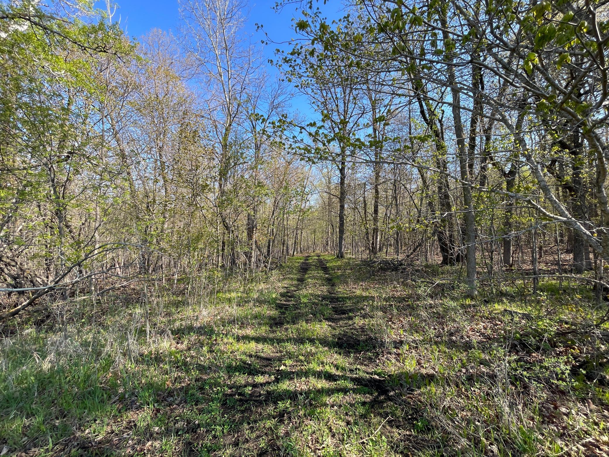 Tbd Csah 39 Property Photo 47