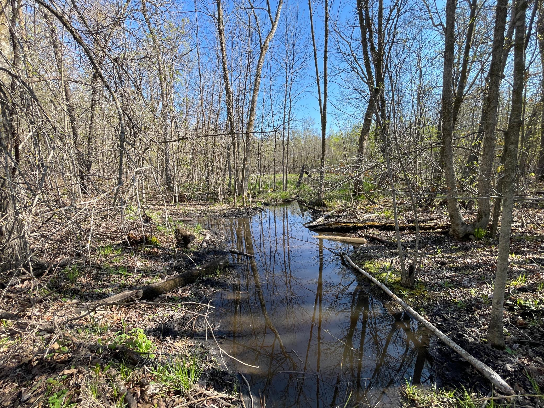 Tbd Csah 39 Property Photo 48