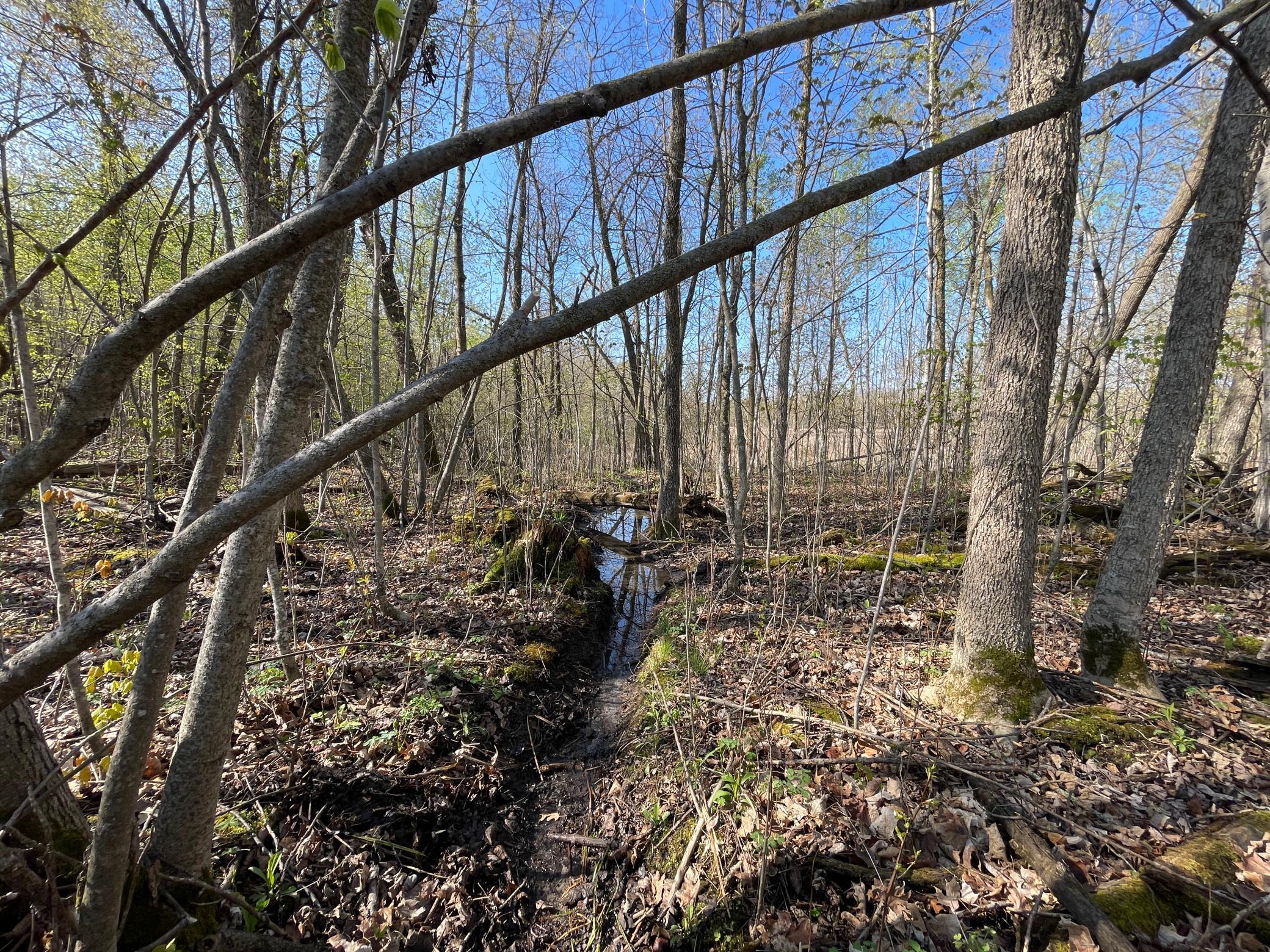 Tbd Csah 39 Property Photo 49