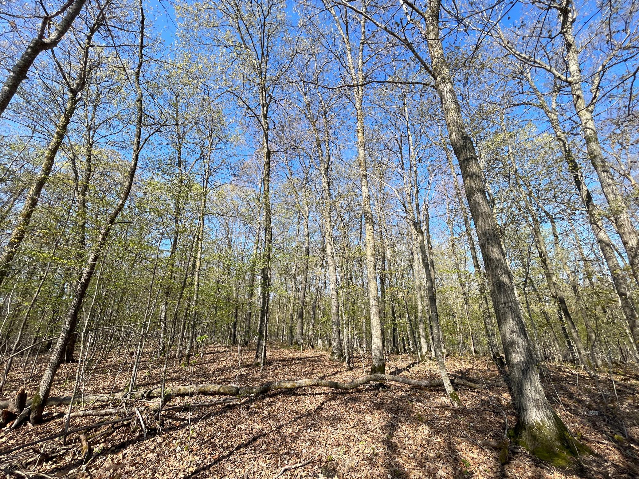 Tbd Csah 39 Property Photo 50
