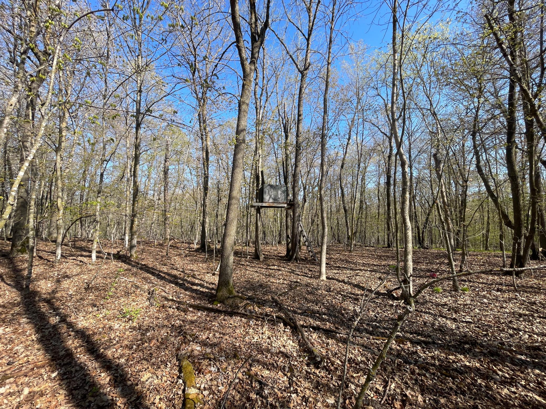 Tbd Csah 39 Property Photo 52