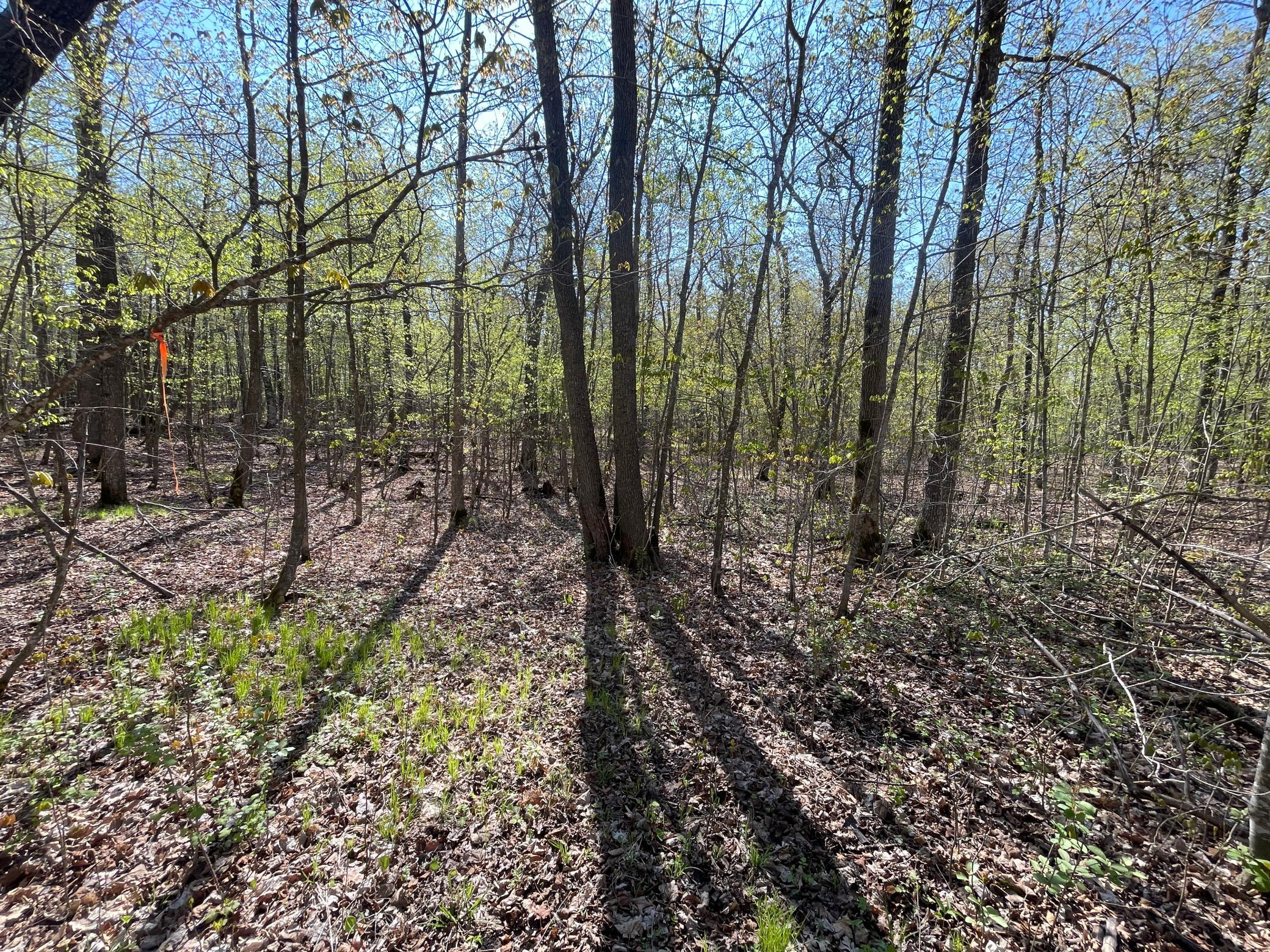 Tbd Csah 39 Property Photo 53
