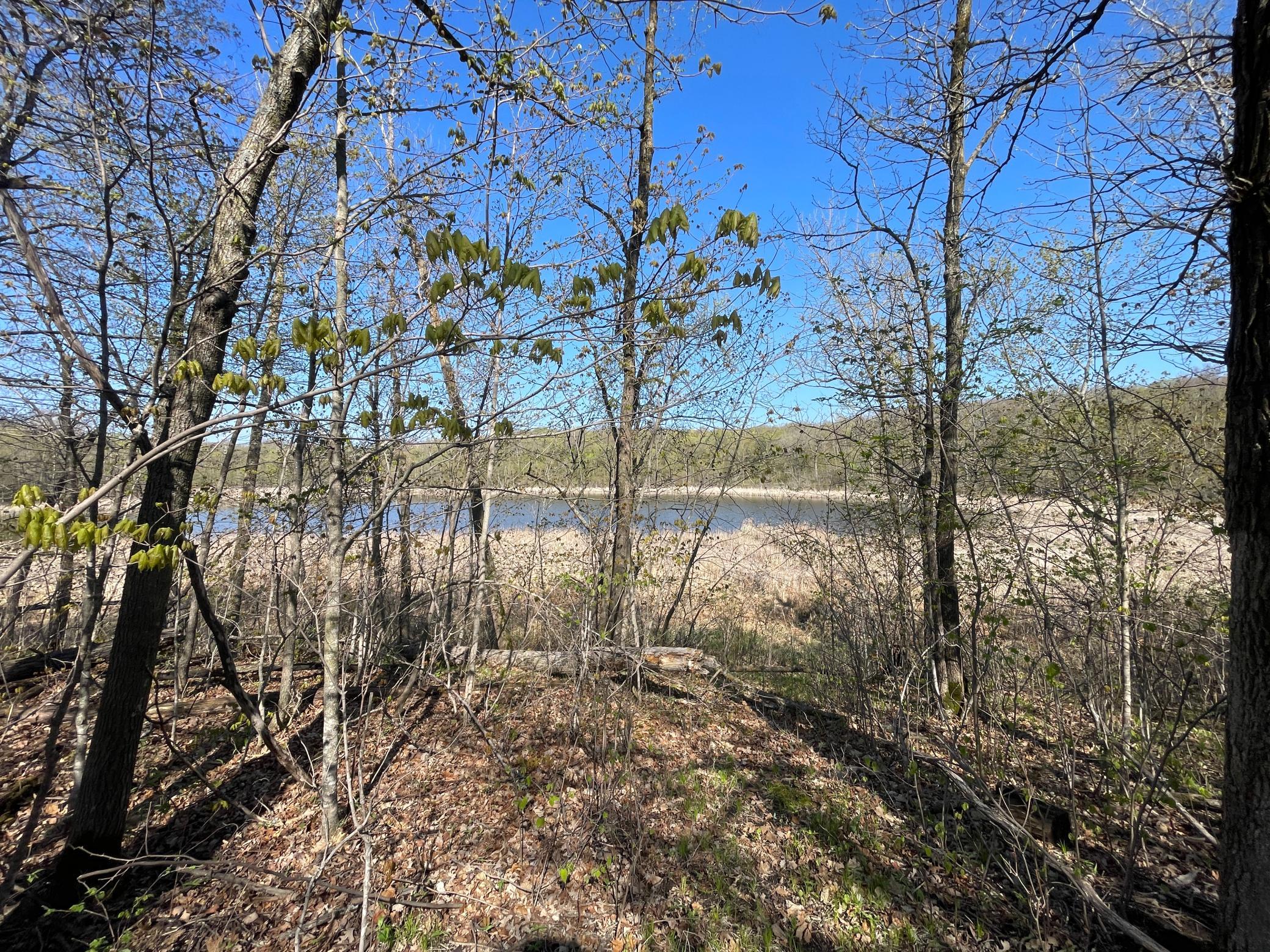 Tbd Csah 39 Property Photo 61