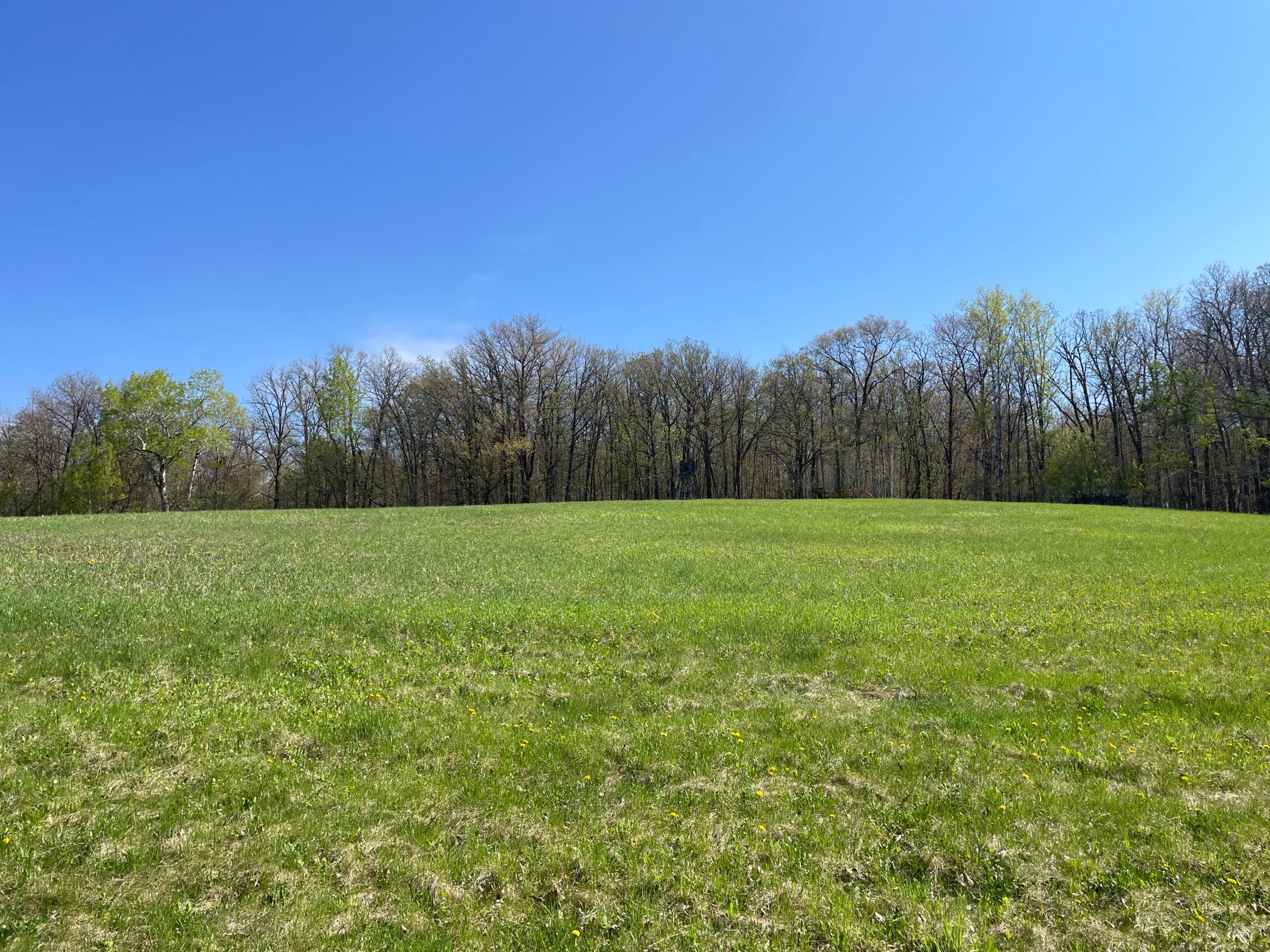 Tbd Csah 39 Property Photo 62