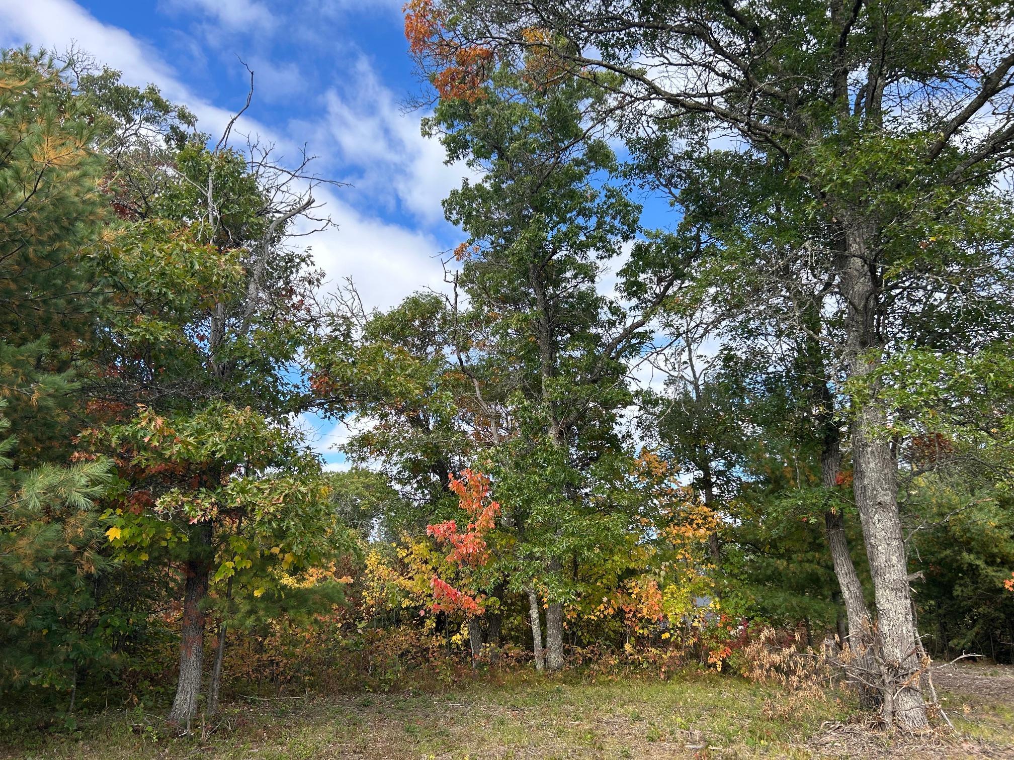 Lot 2 County Road T Property Photo 2