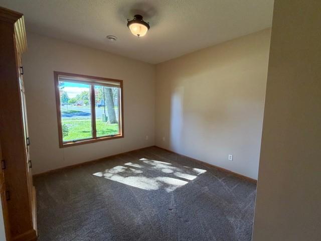 4235 4th Street S Property Photo 33