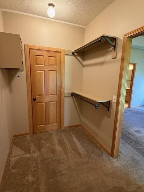 4235 4th Street S Property Photo 40