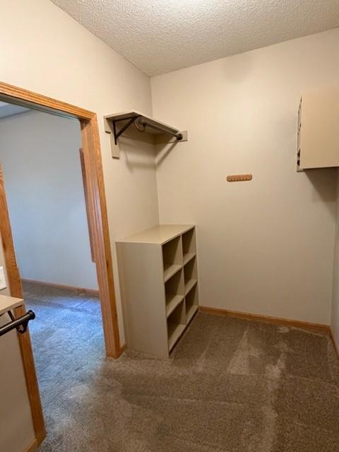 4235 4th Street S Property Photo 41