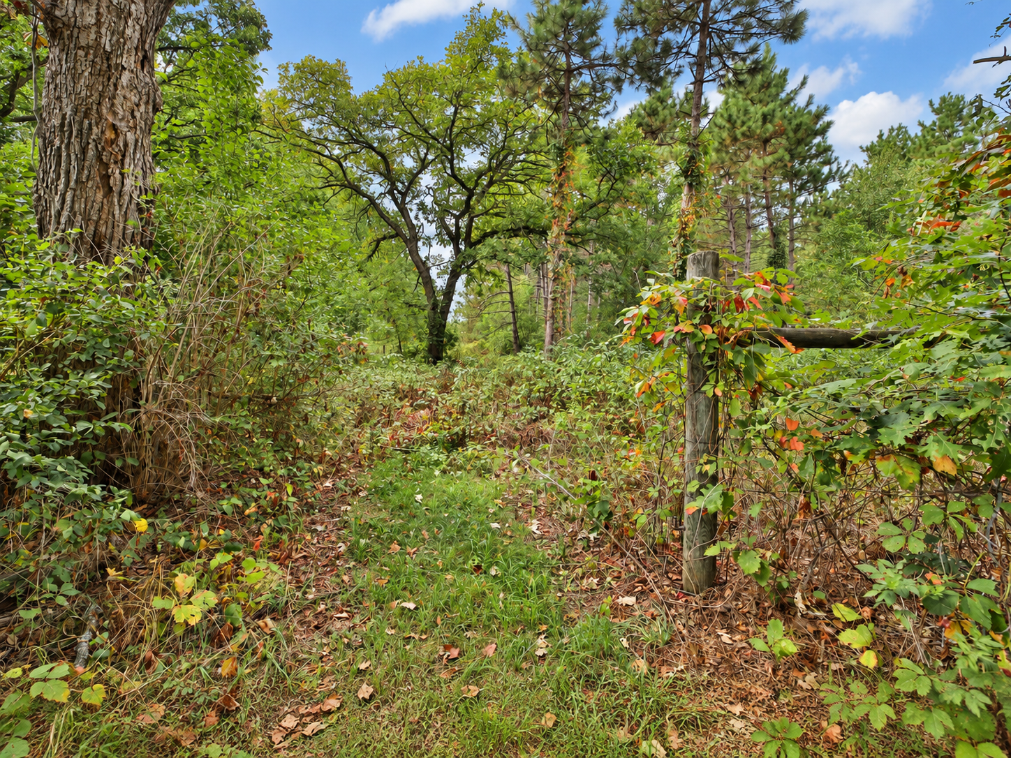 5583 Legend Lane Property Photo 41