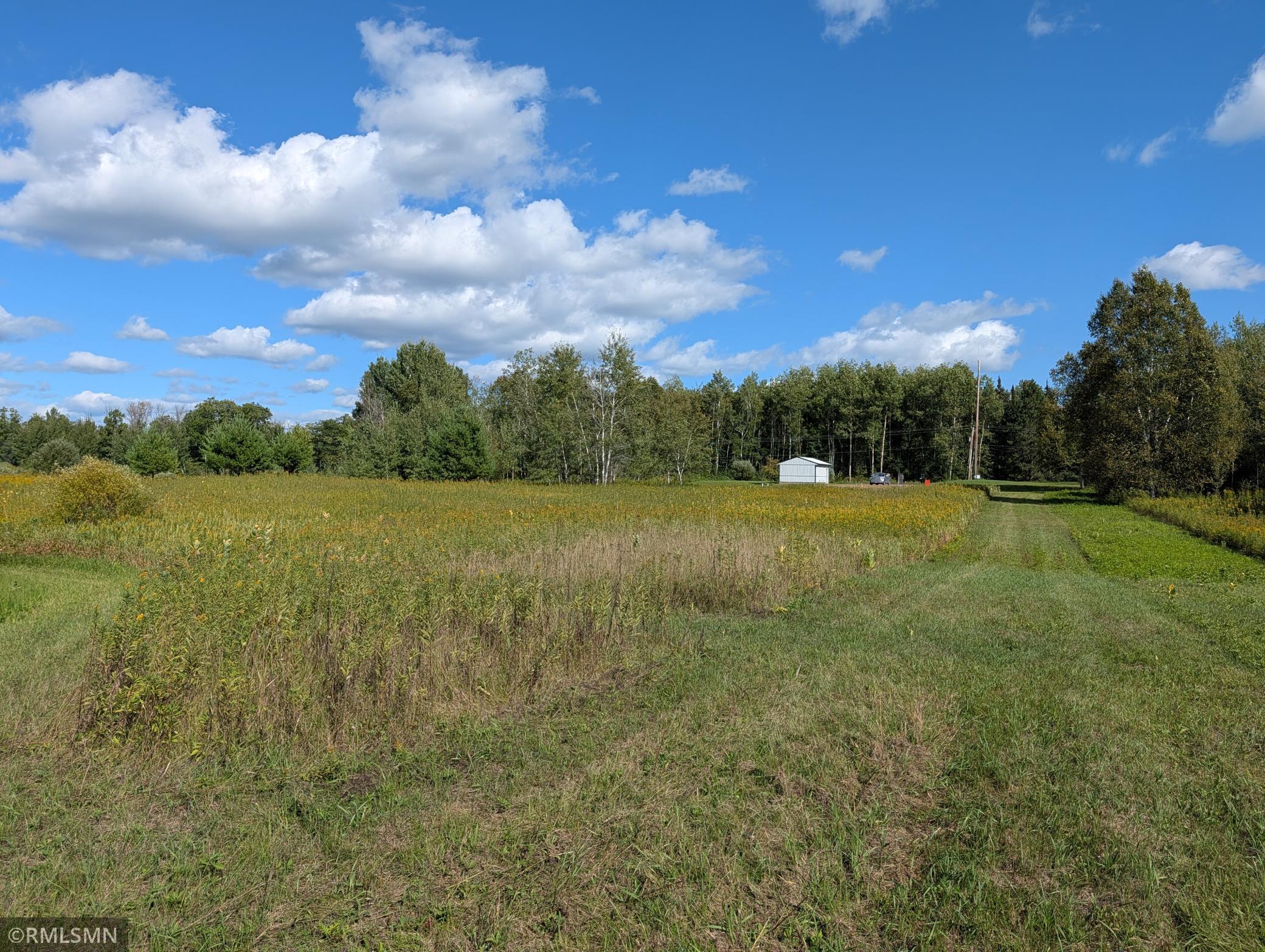 2547 County Road 103 Property Photo 6