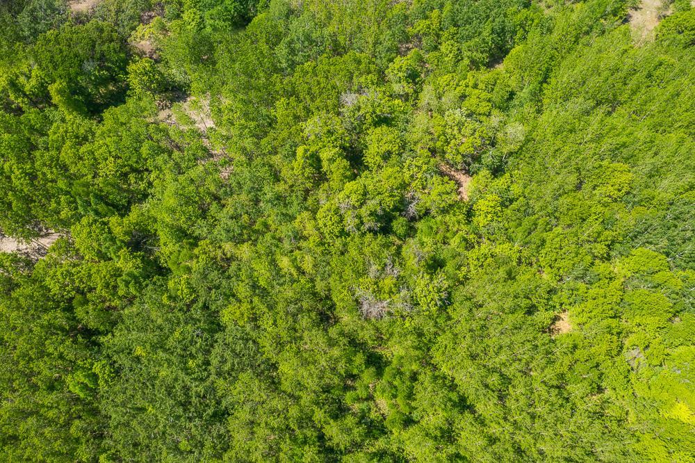 Lot 29 Sanctuary Path Property Photo 28