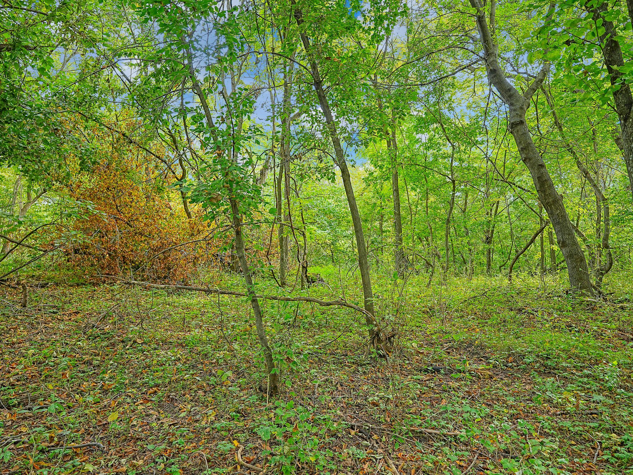 455xx Plentywood Rd Property Photo 11