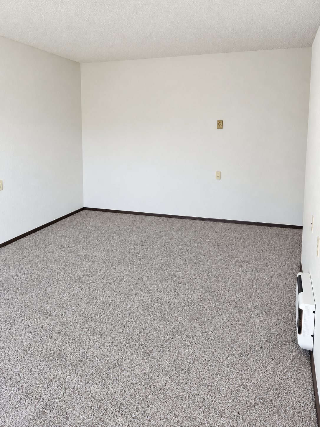 700 3rd Street #4 Property Photo 3