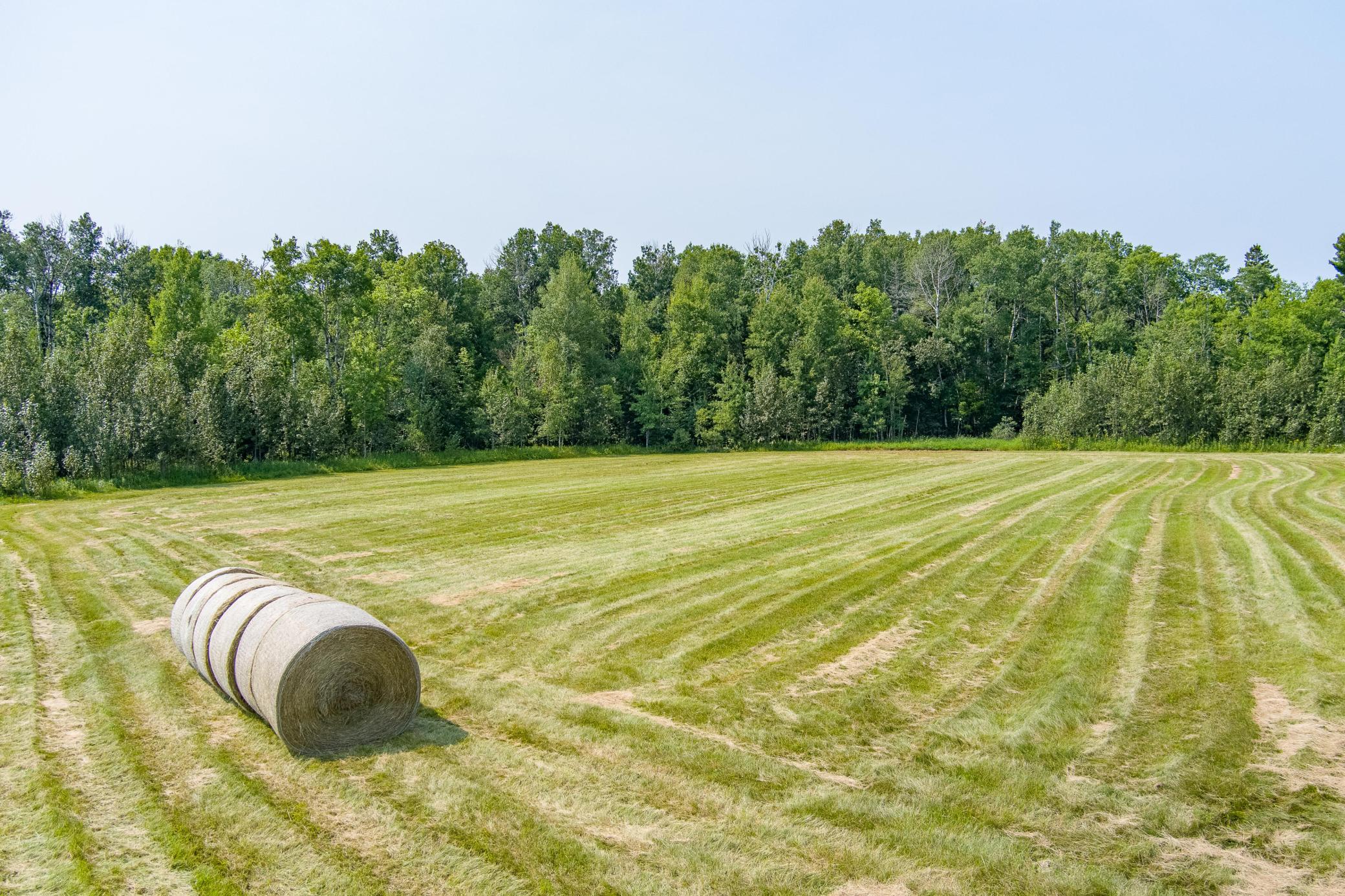 0 Tbd County Highway Property Photo 3