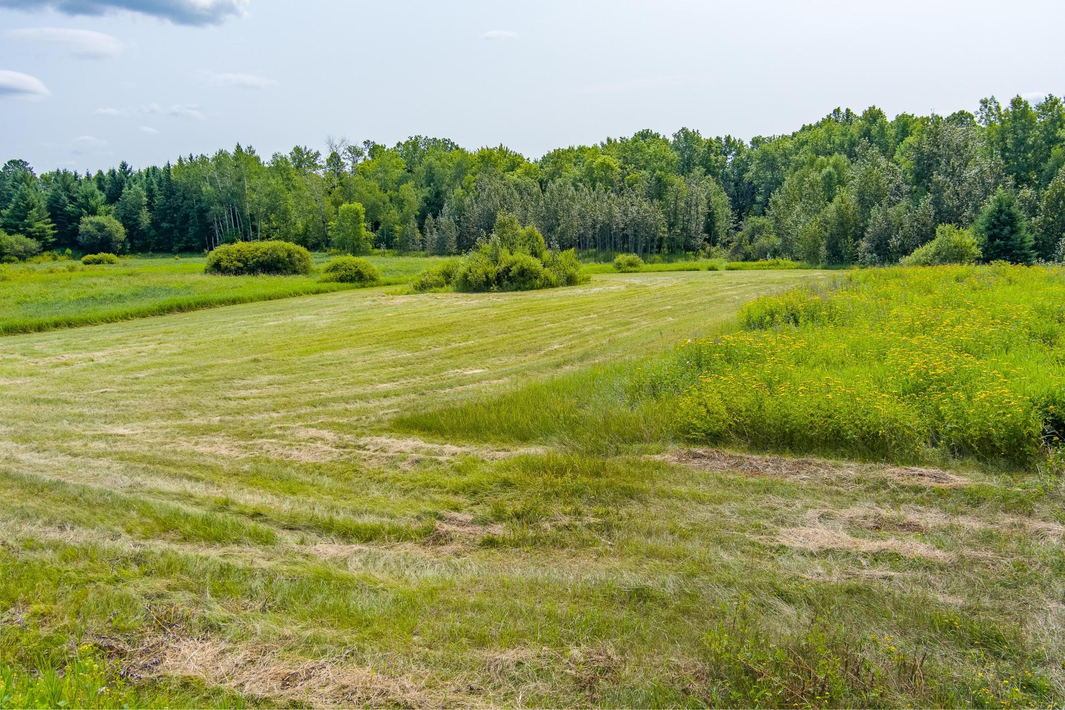 0 Tbd County Highway Property Photo 9