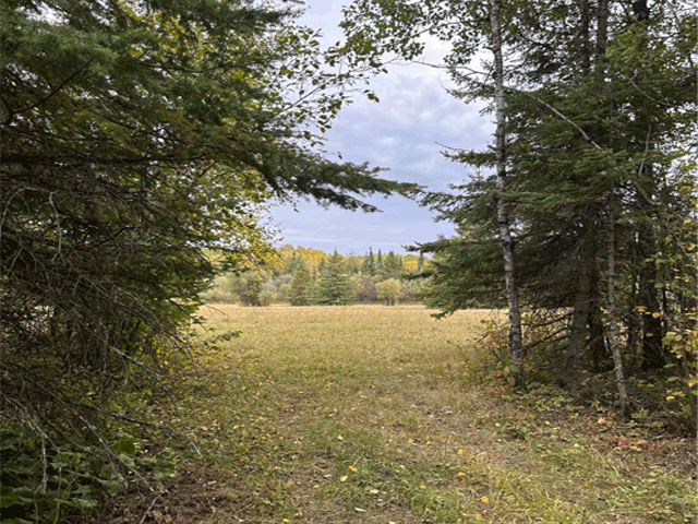 9289 Heino Road Property Photo 40
