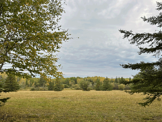 9289 Heino Road Property Photo 41
