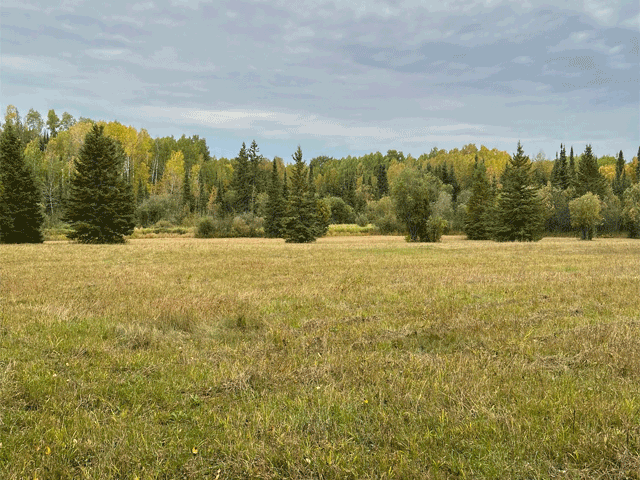 9289 Heino Road Property Photo 42