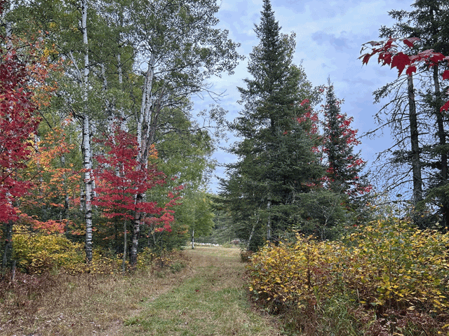 9289 Heino Road Property Photo 44