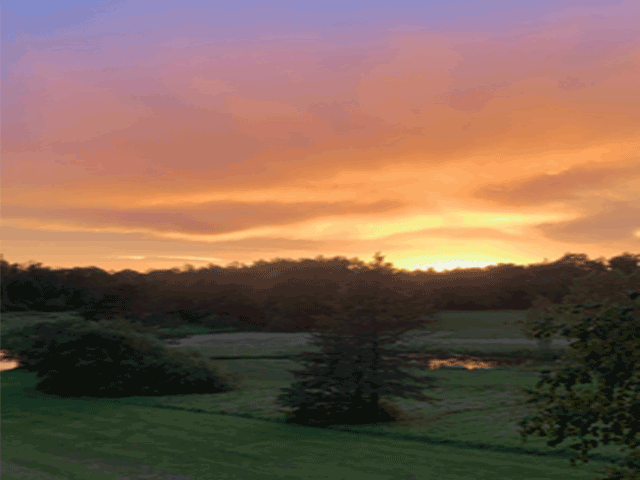 9289 Heino Road Property Photo 45