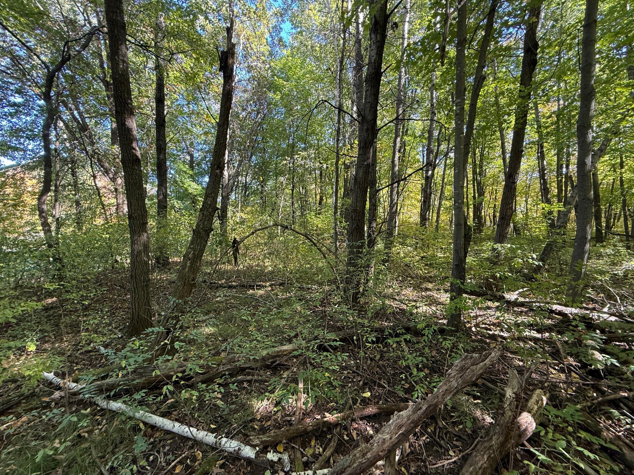 Tbd 90th Avenue Property Photo 1
