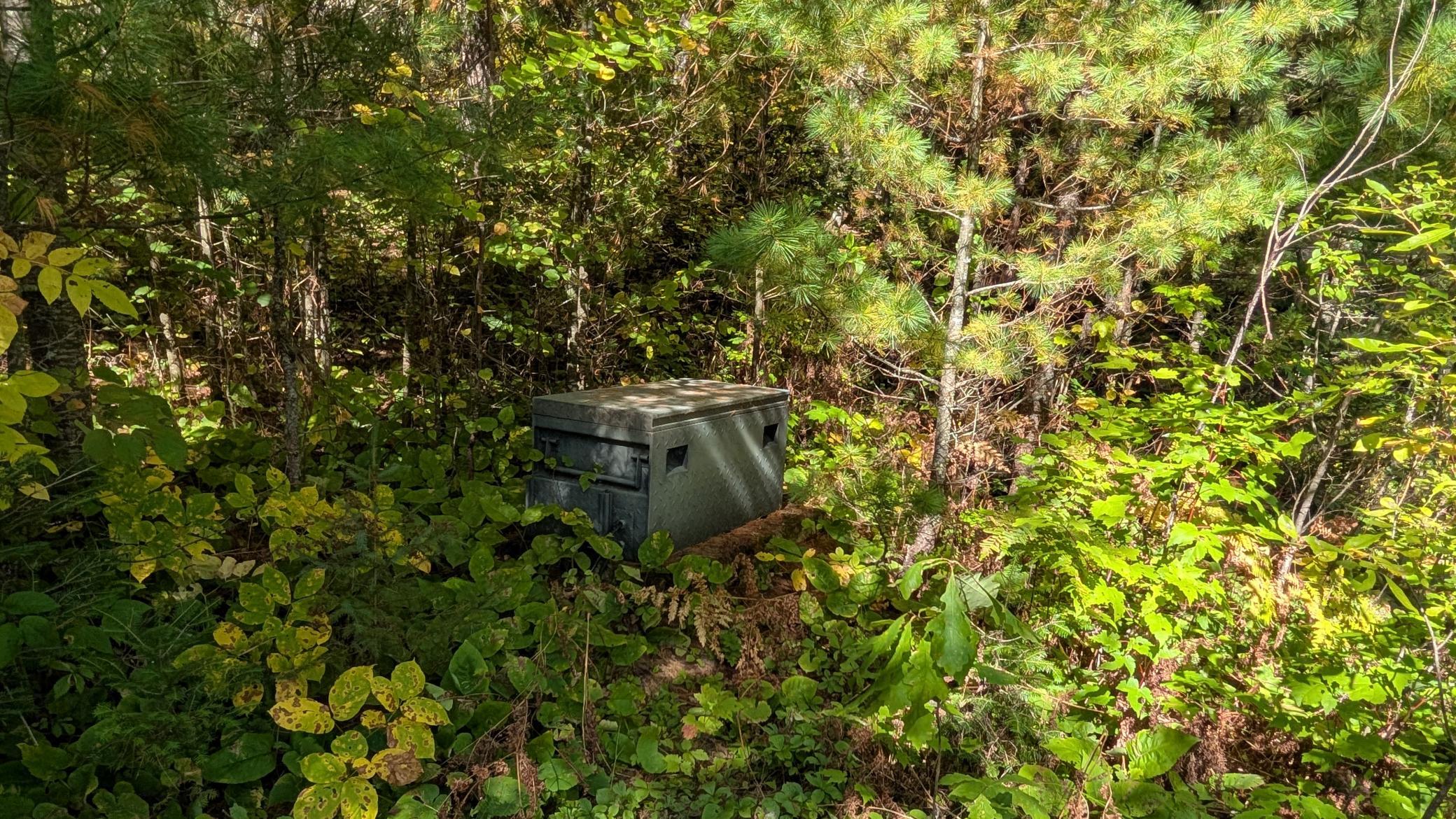 5957 River Road Property Photo 19