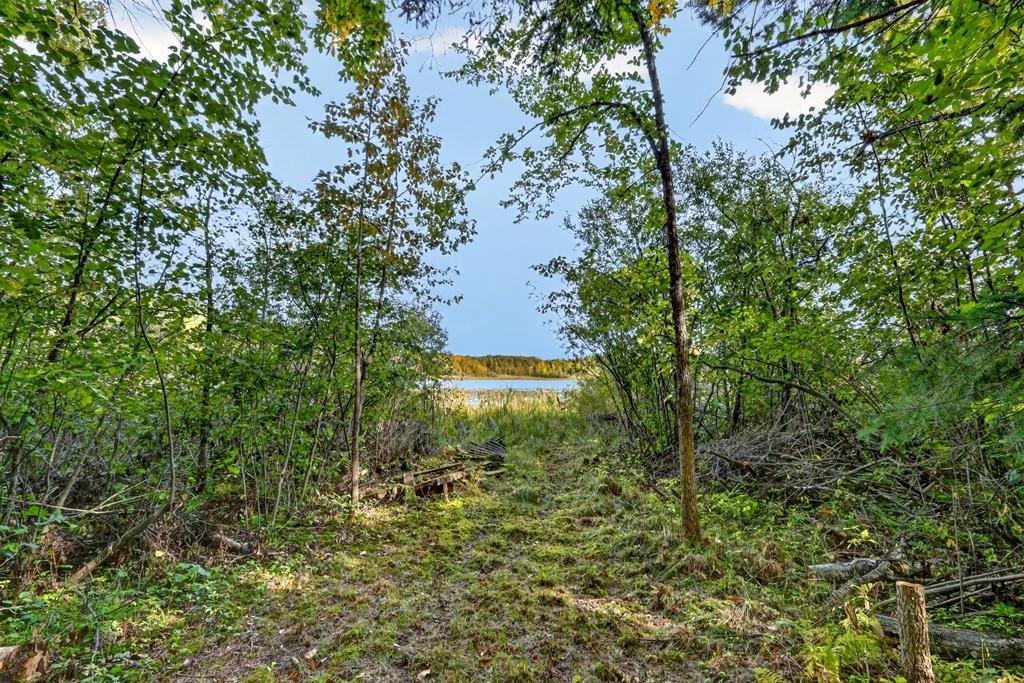 29260 Clearwater Road Property Photo 4