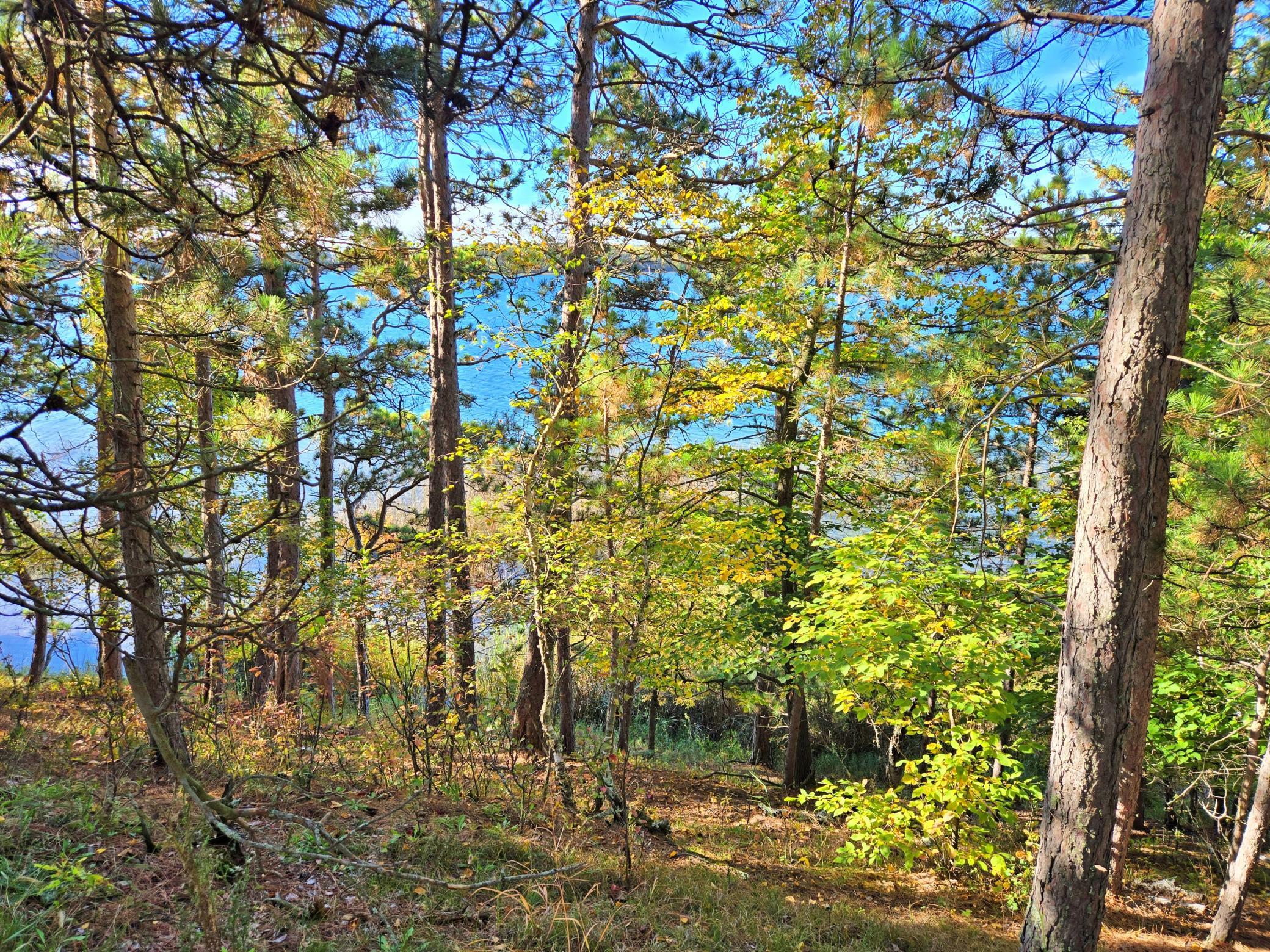 Tbd Ironwood Drive Property Photo 8
