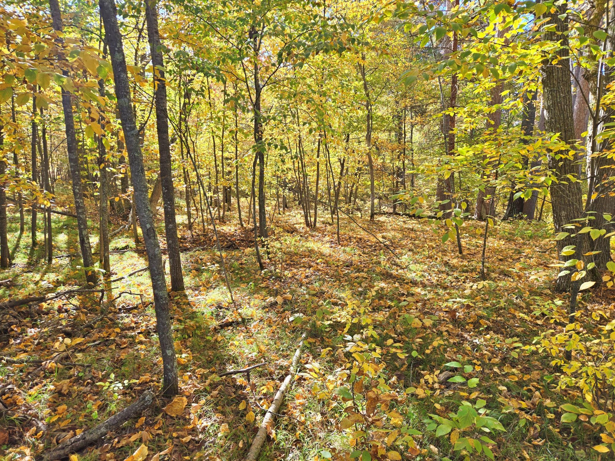 Tbd Ironwood Drive Property Photo 11