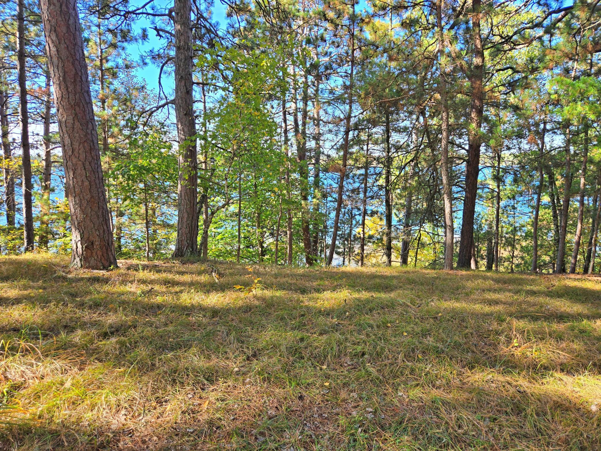 Tbd Ironwood Drive Property Photo 12