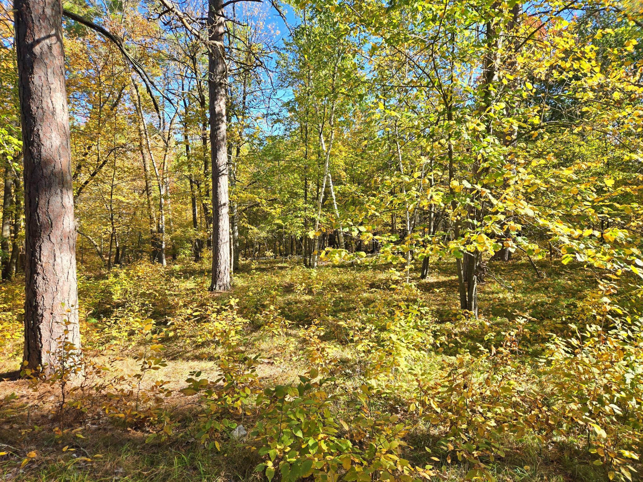 Tbd Ironwood Drive Property Photo 13