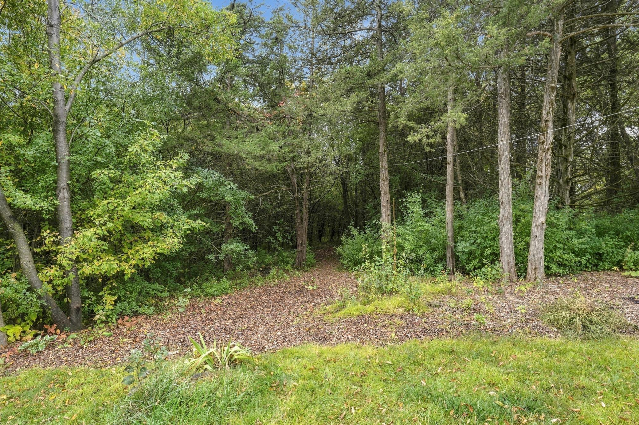 858 Bradley Drive Property Photo 22