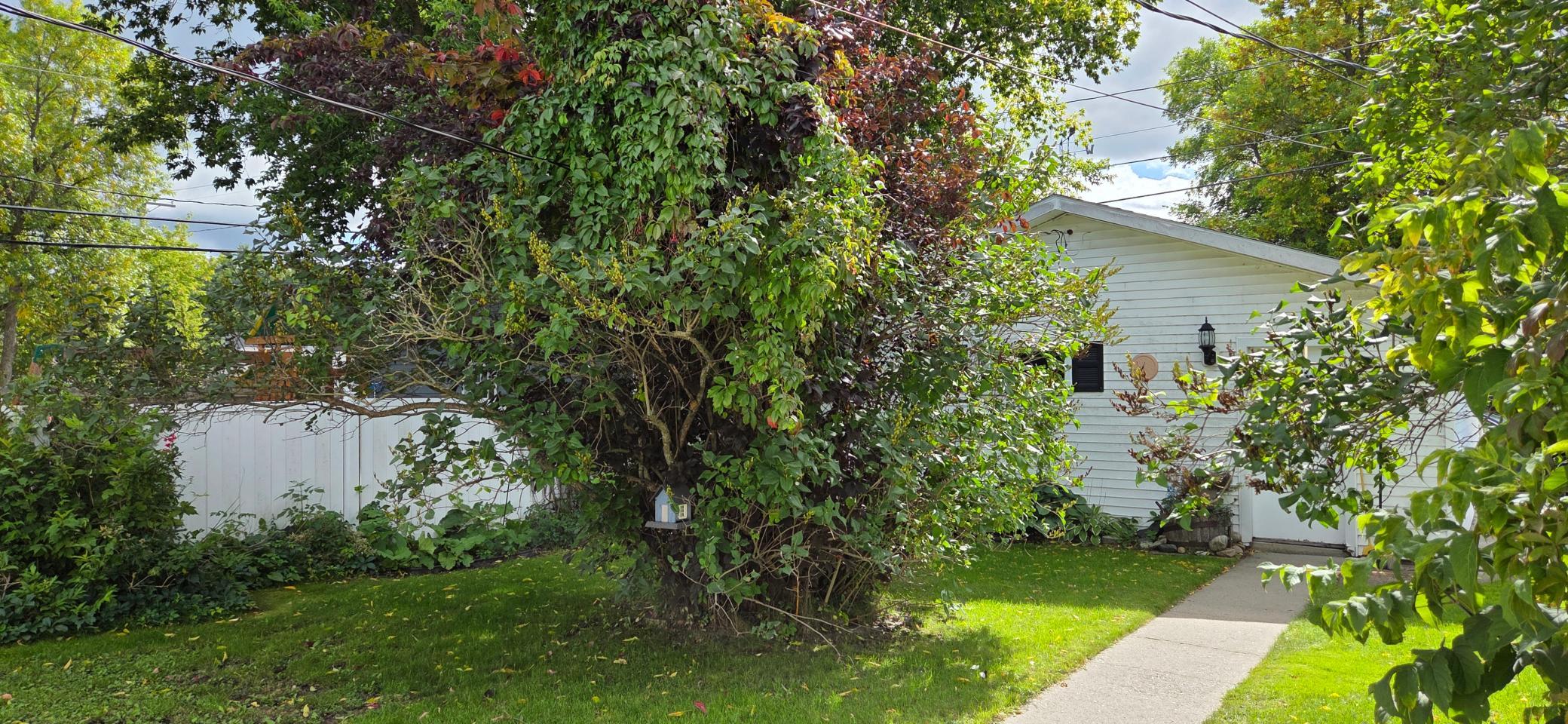 605 7th Street Property Photo 13