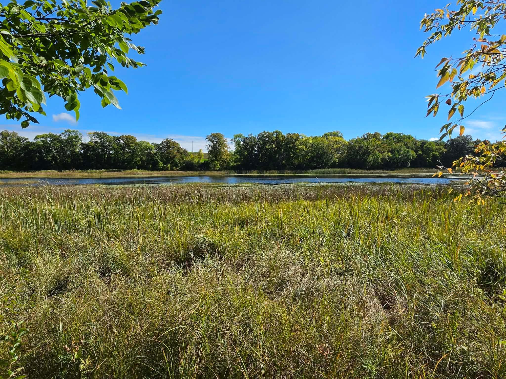 TBD Pleasant Lake Trail