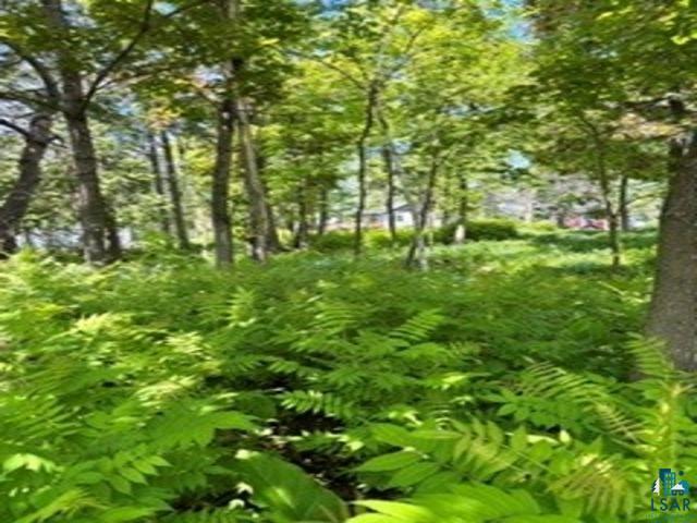 1788 Wolf Ridge Road Property Photo 15