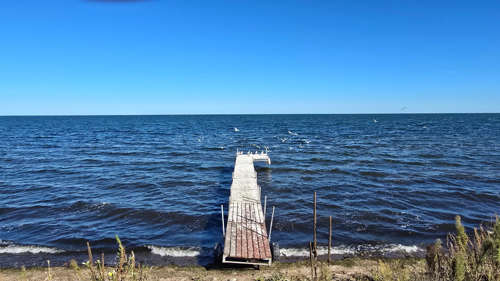 7433 Us Highway 169 Property Photo 33