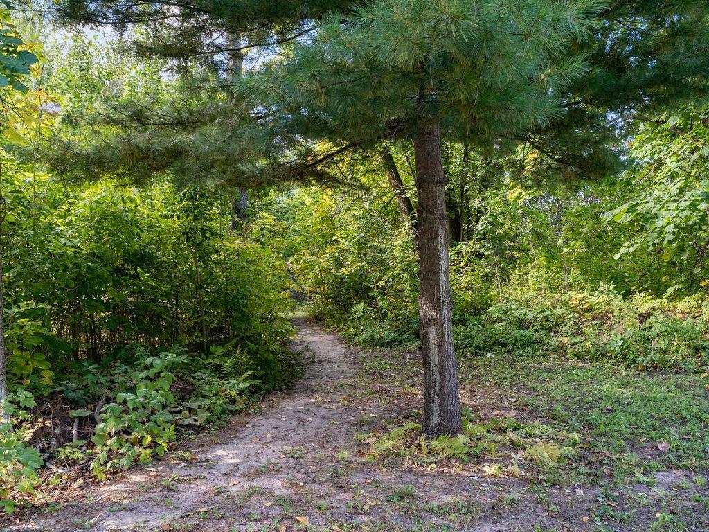 4707 Red Pine Drive Nw Property Photo 34