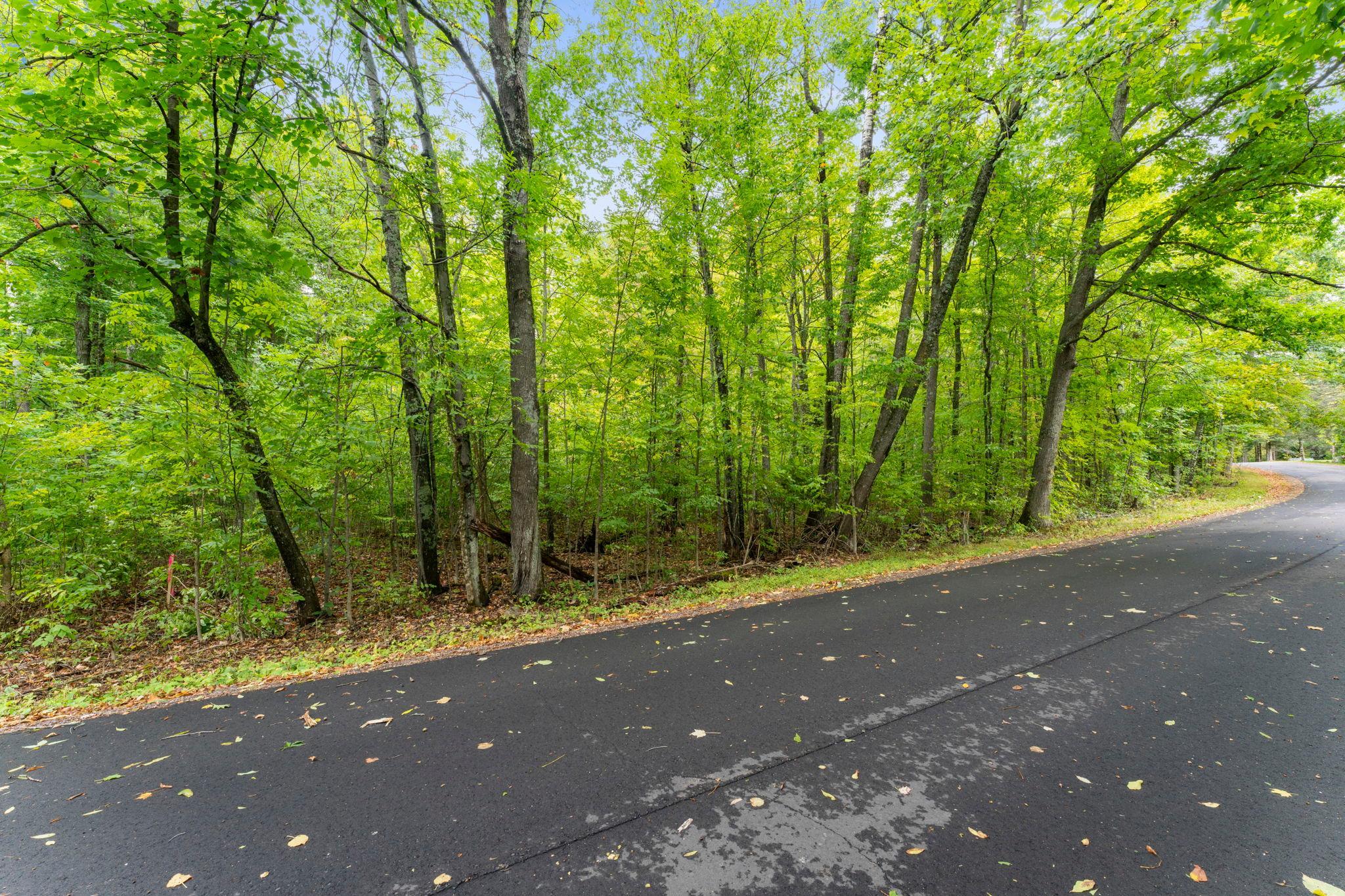 Tbd1 Golf Course Road Property Photo 24
