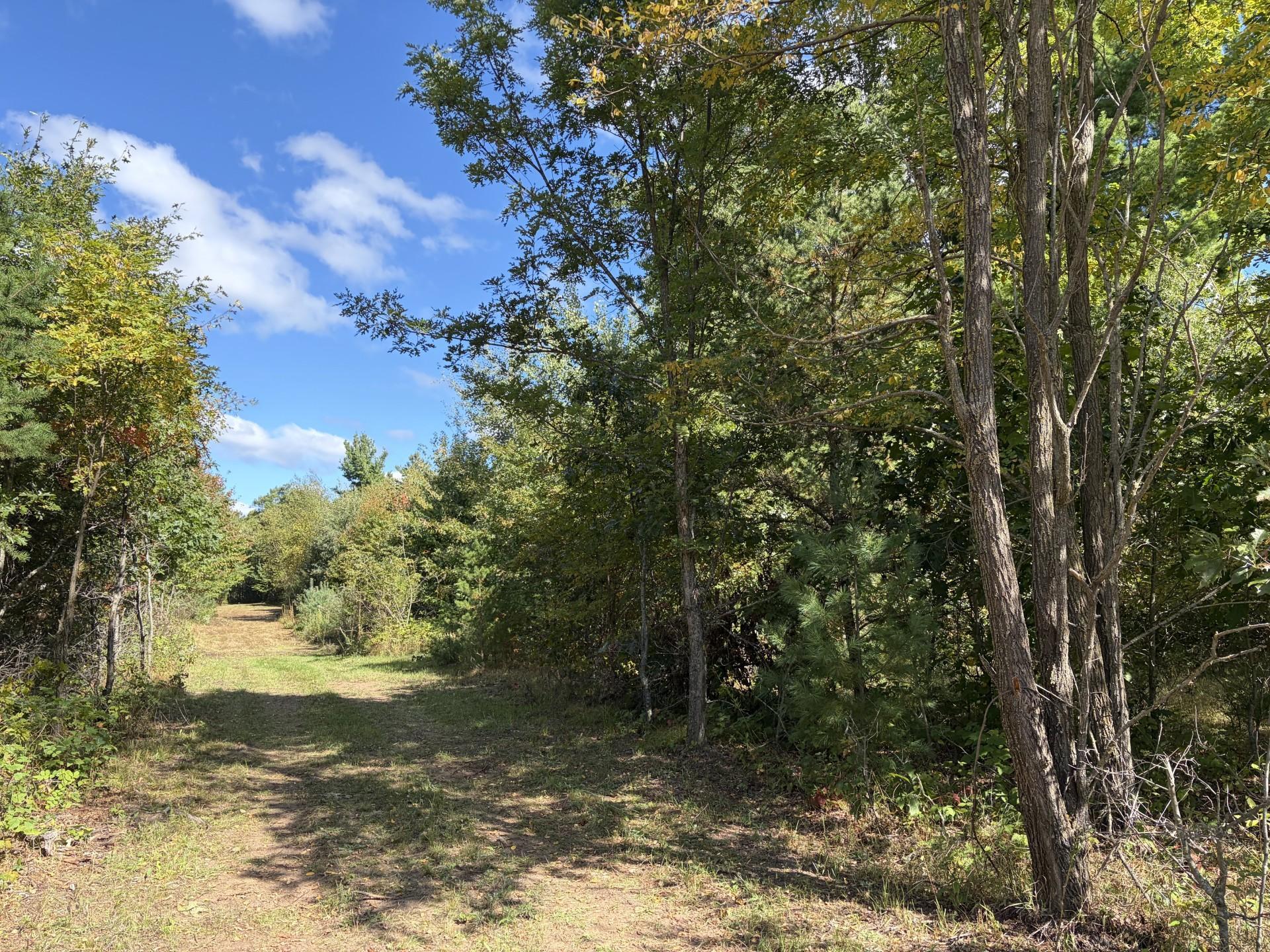 Xxx Bluebird Trail Property Photo