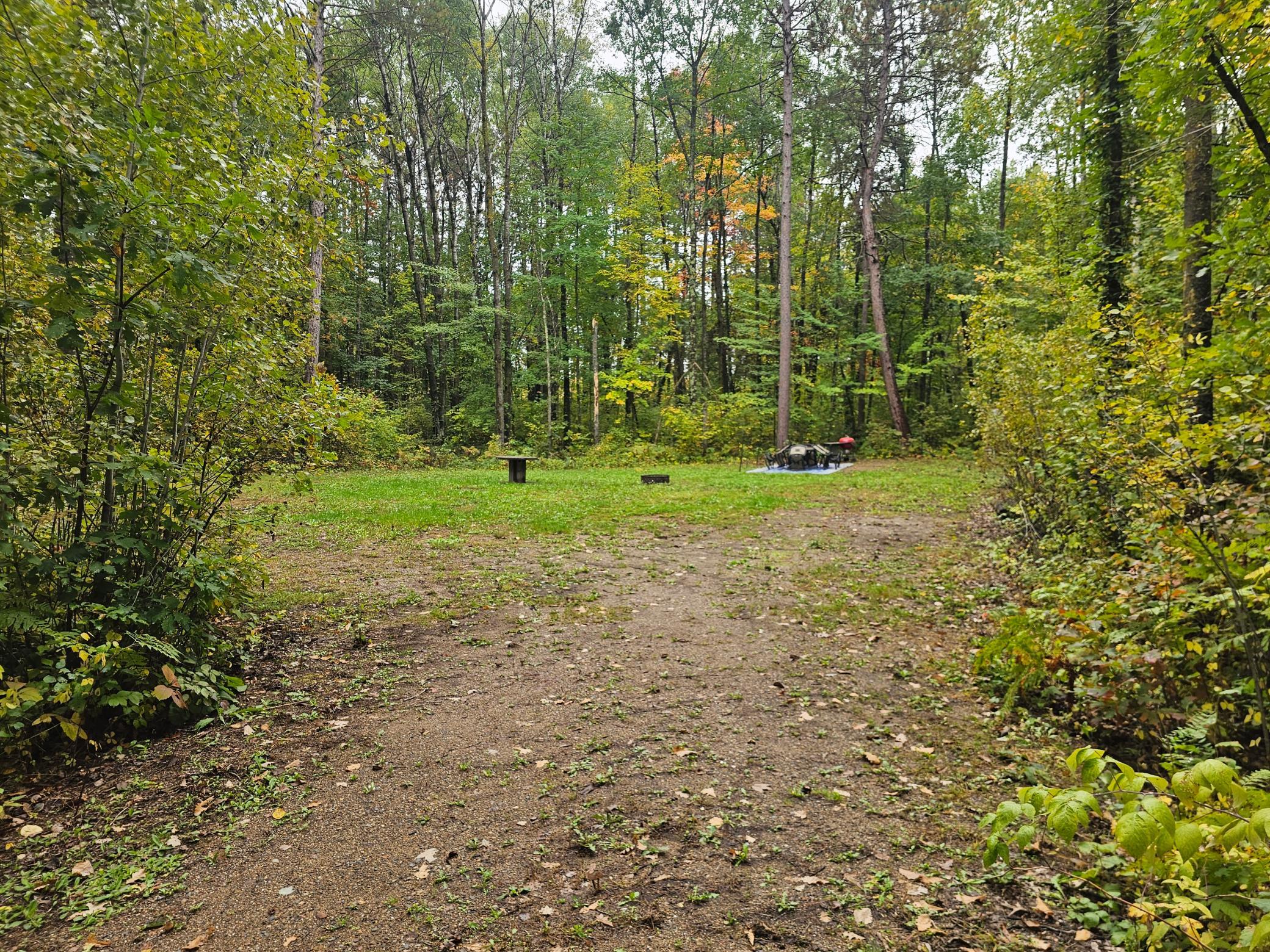 20012 Nature Trail Property Photo 2