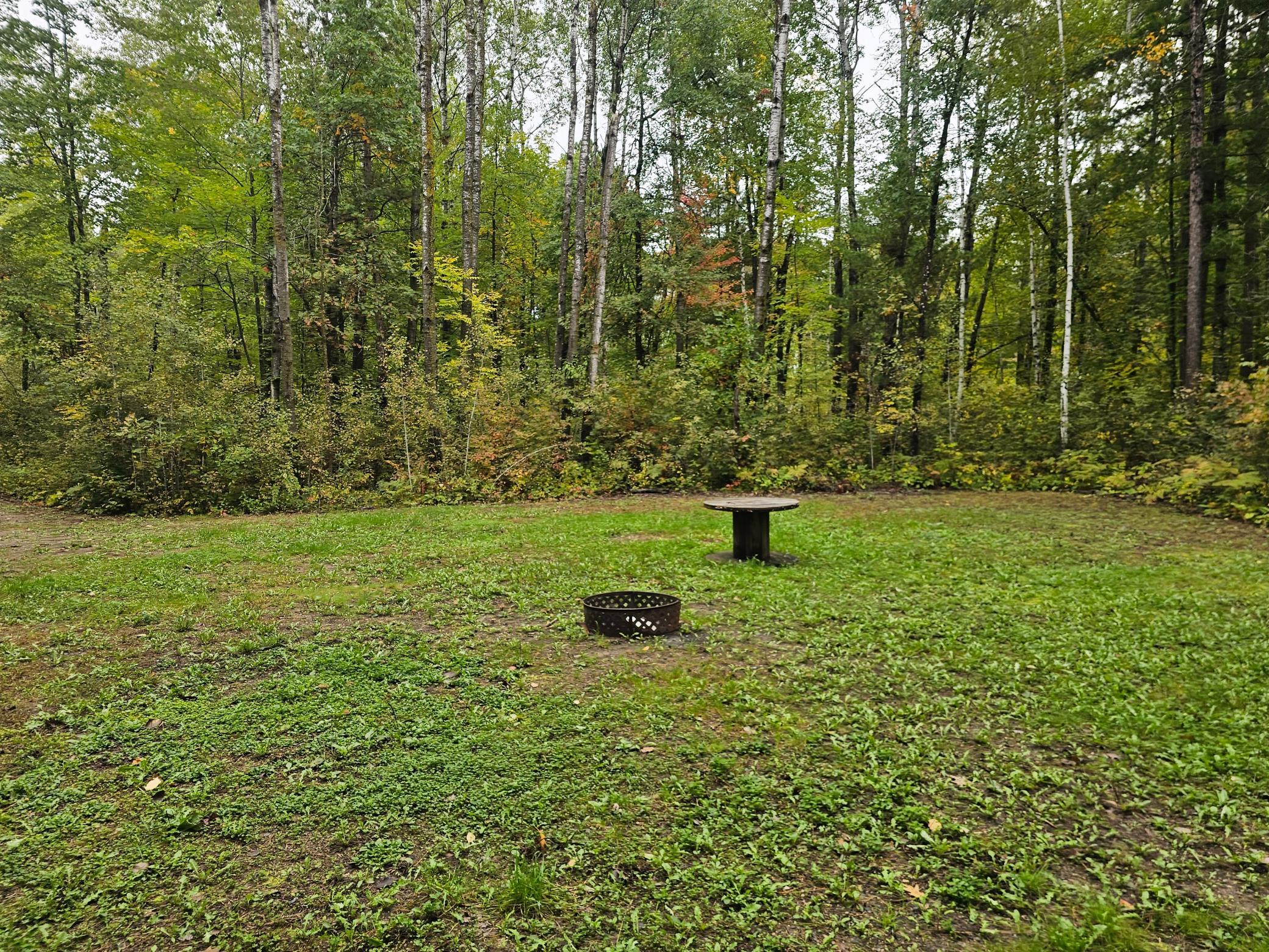 20012 Nature Trail Property Photo 3