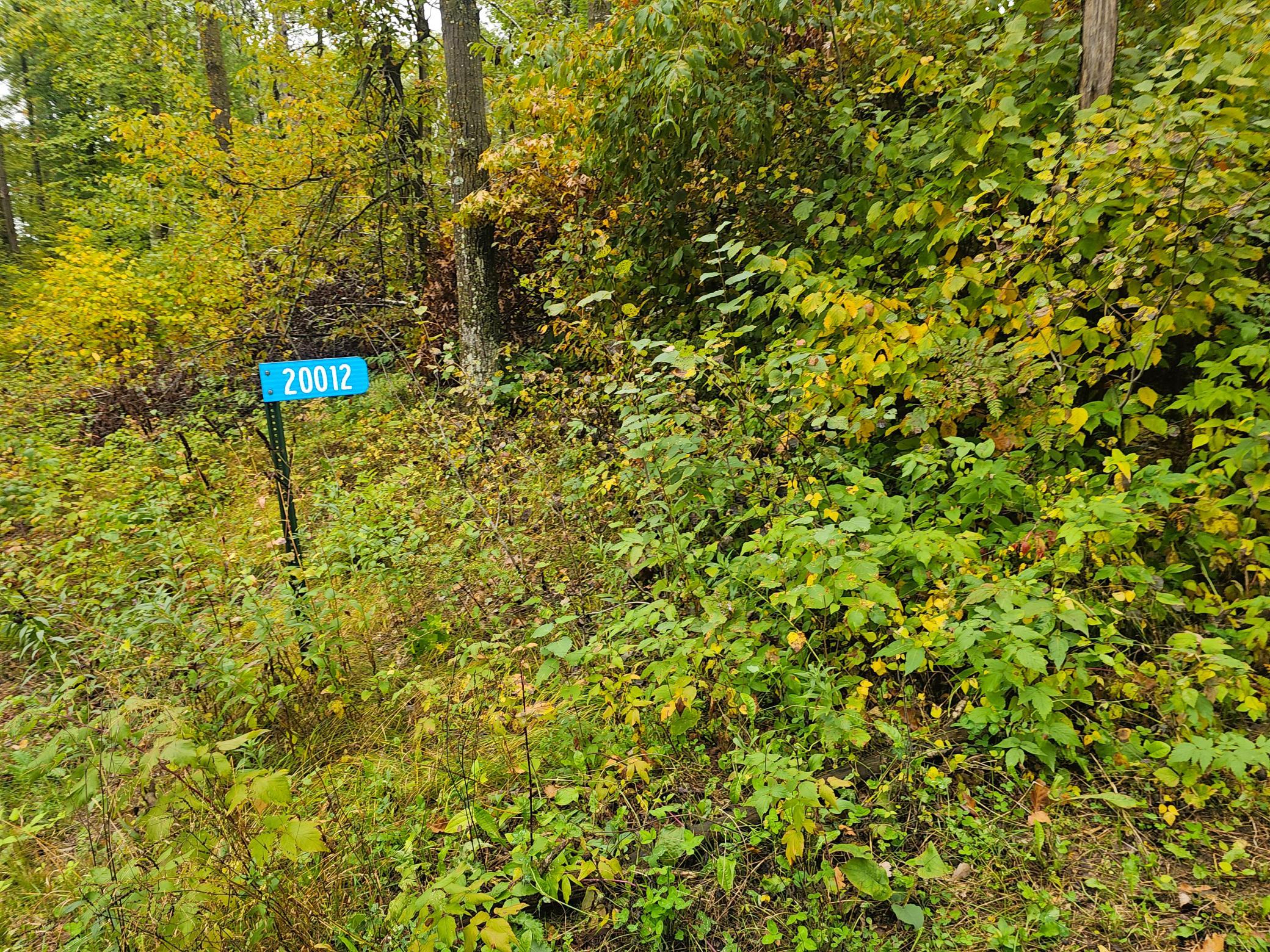 20012 Nature Trail Property Photo 6