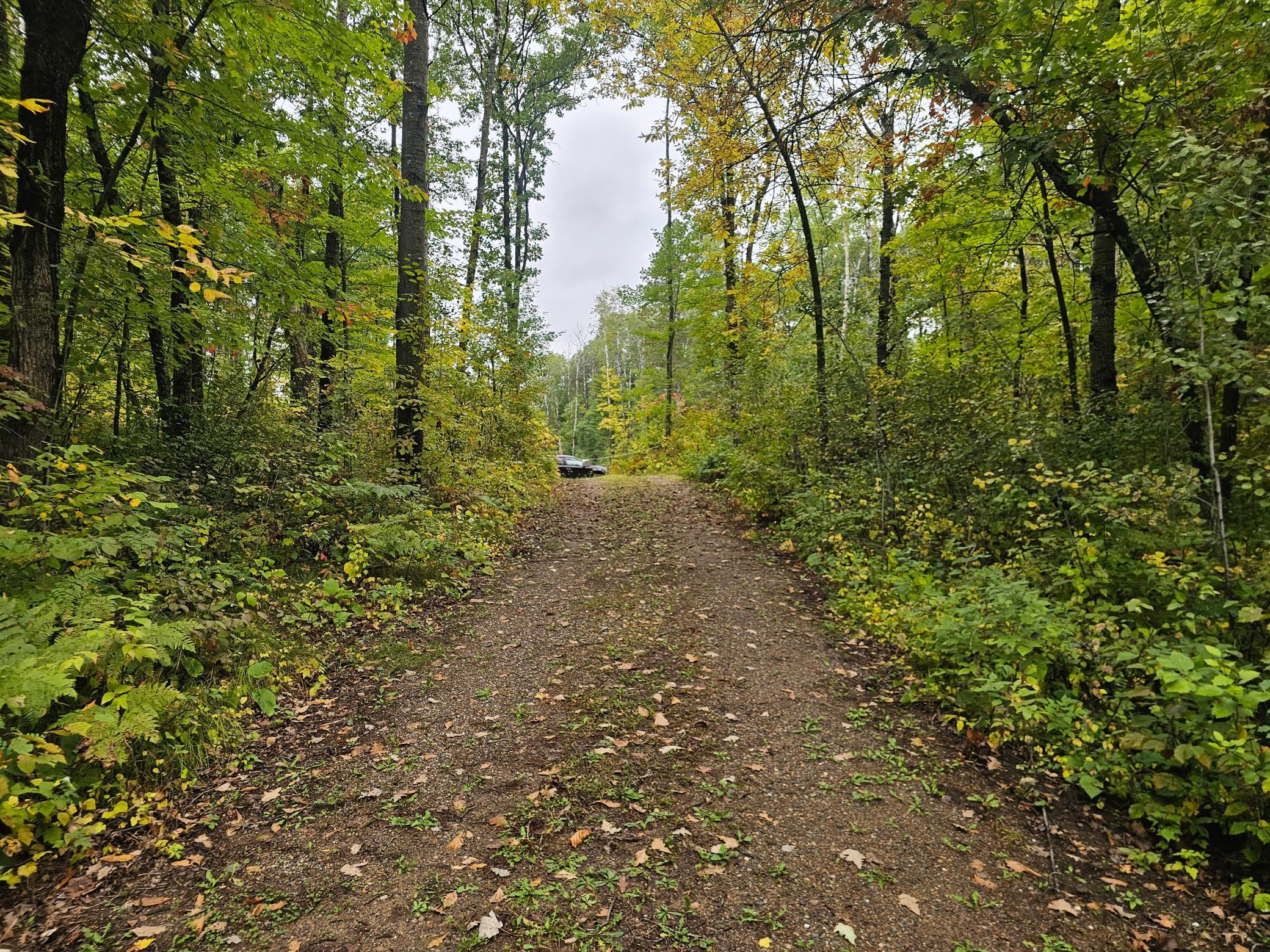 20012 Nature Trail Property Photo 7