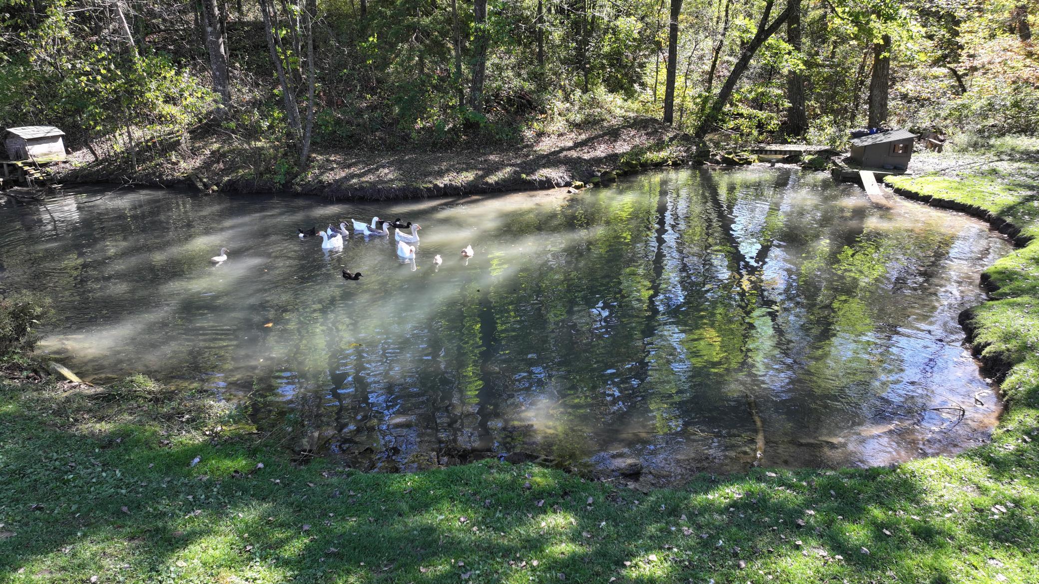 30874 Highway 76 Property Photo 5