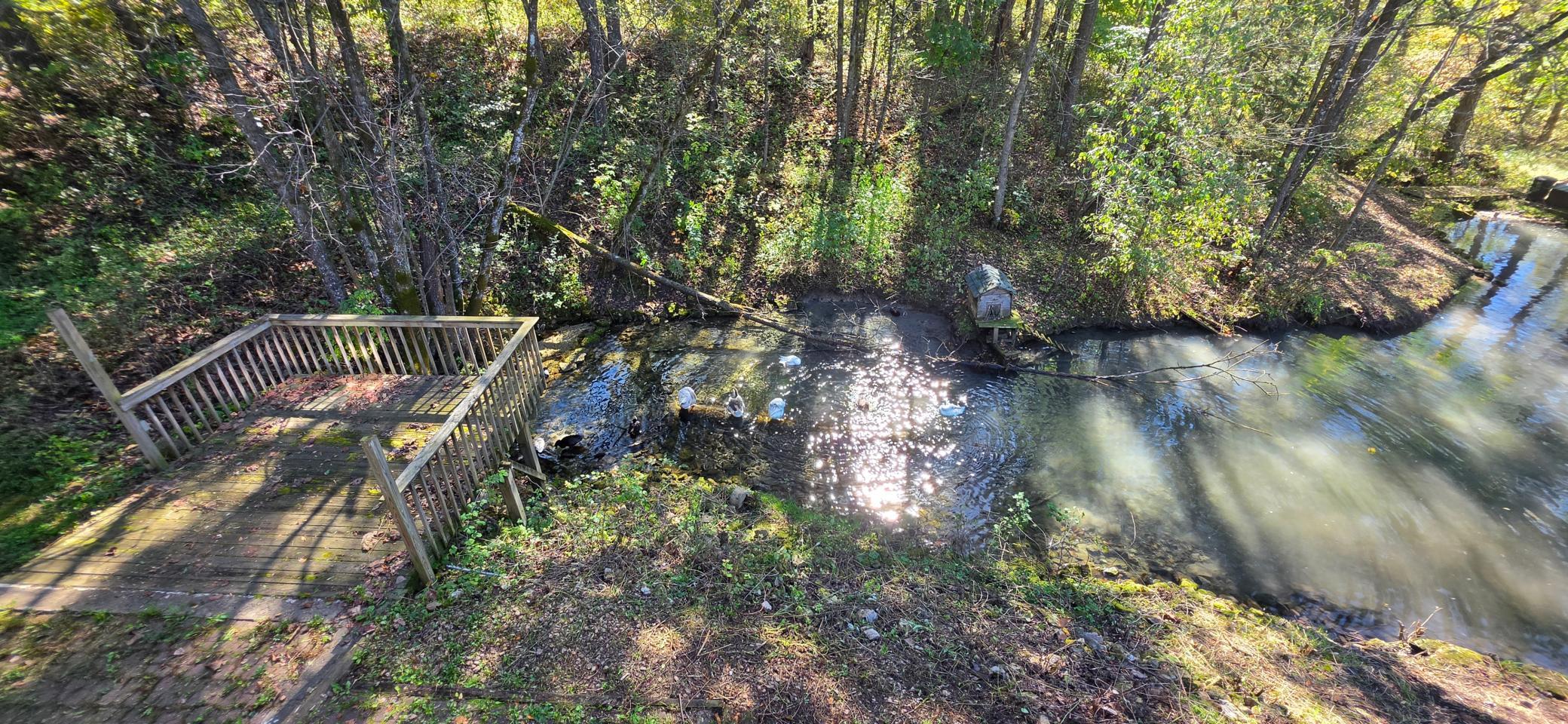 30874 Highway 76 Property Photo 55