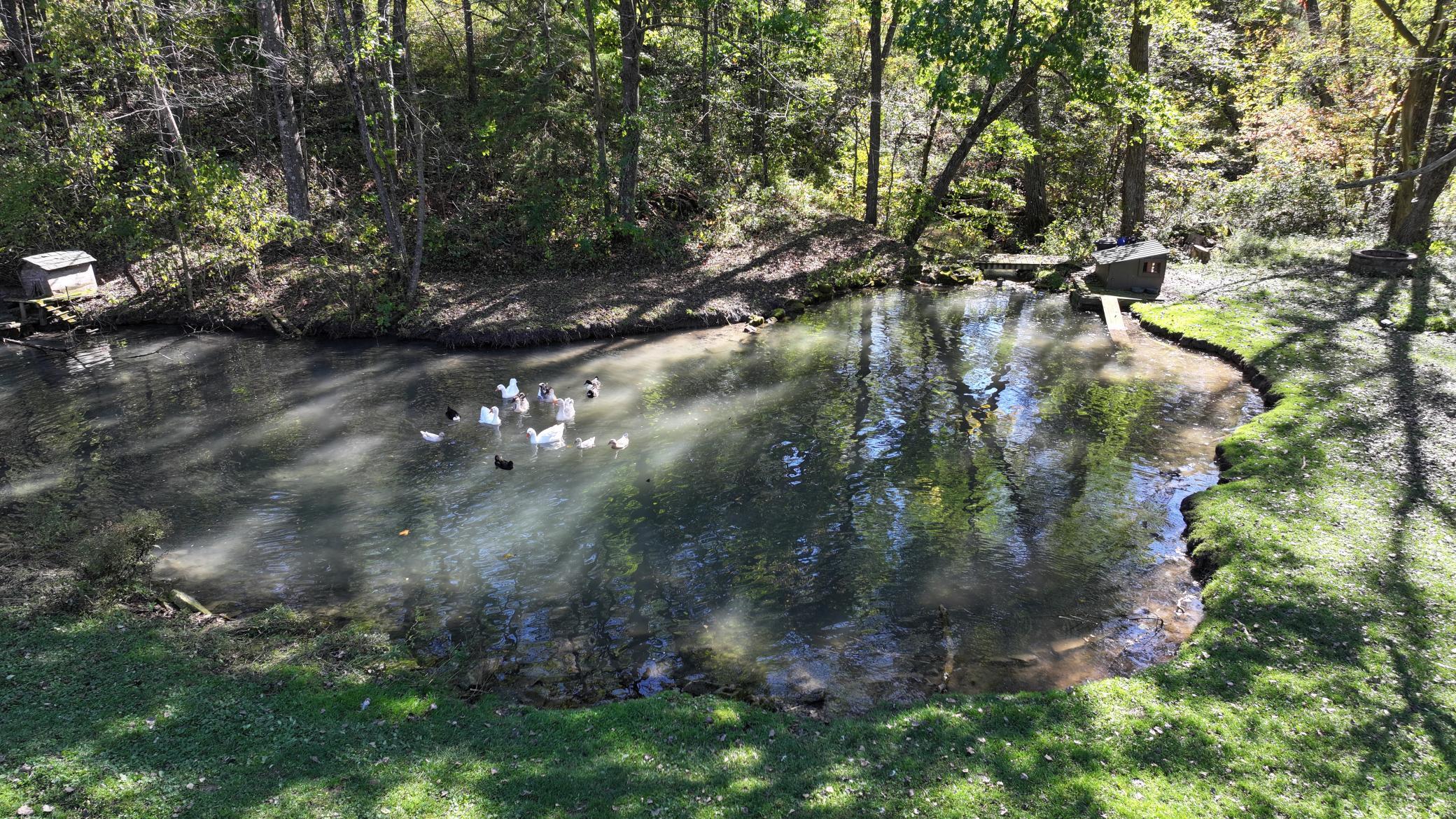 30874 Highway 76 Property Photo 89