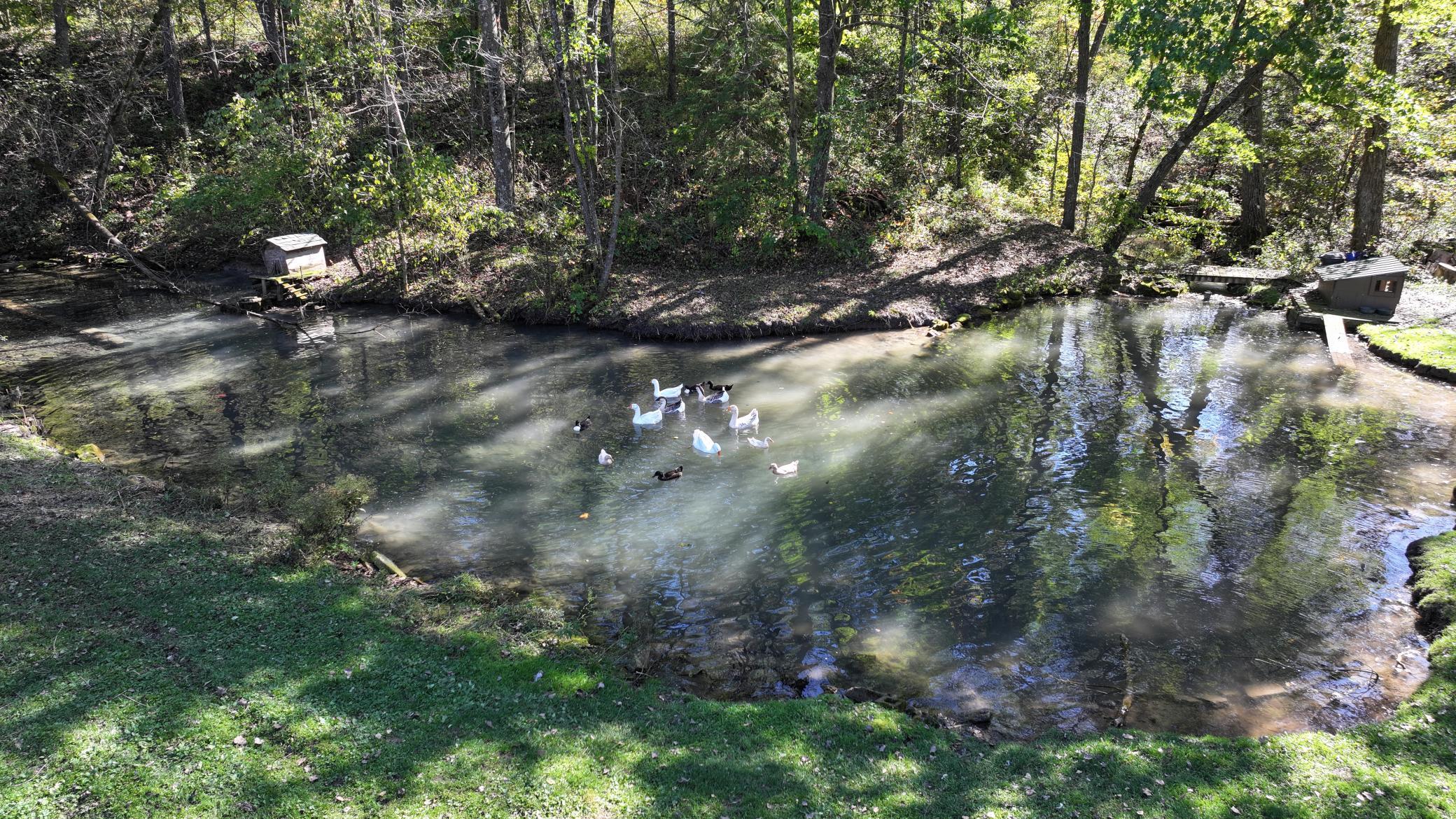 30874 Highway 76 Property Photo 90